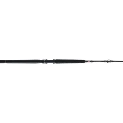 PENN Carnage™ III Offshore Conventional