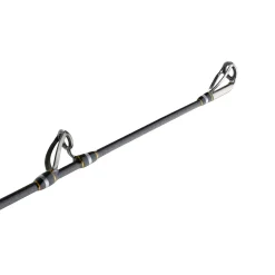 PENN Carnage™ III Offshore Conventional