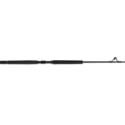 PENN Carnage™ III Offshore Conventional