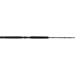 PENN Carnage™ III Offshore Conventional
