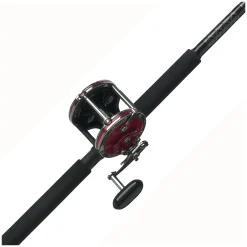 PENN Senator® Conventional Rod & Reel Combo