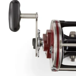 PENN Special Senator® Star Drag Conventional Reel