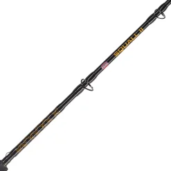 PENN Squall® II Star Drag Conventional Rod & Reel Combo