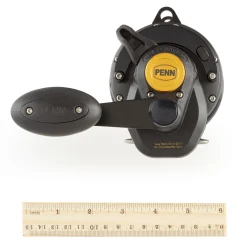 PENN Squall® Lever Drag 2-Speed Conventional Reel