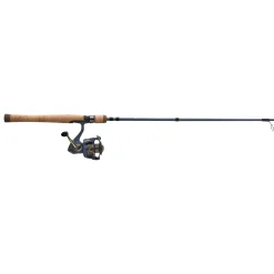 Pflueger President® Spinning Combo