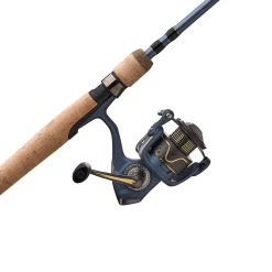 Pflueger President® Spinning Combo