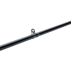 Pflueger President® XT Casting Rod
