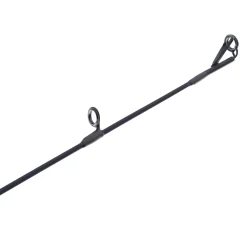 Pflueger President® XT Casting Rod