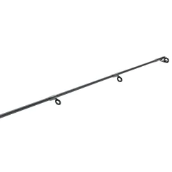 Pflueger President® XT Spinning Rod