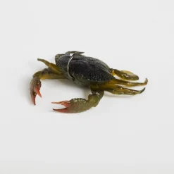 Savage Gear Toughtec Crab