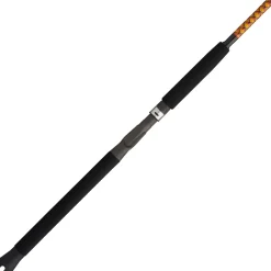 Ugly Stik Bigwater Conventional Rod