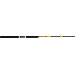 Ugly Stik Bigwater Conventional Rod