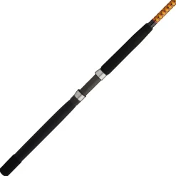 Ugly Stik Bigwater Conventional Rod