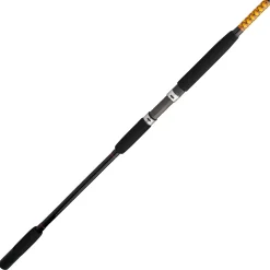 Ugly Stik Bigwater Conventional Rod
