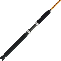 Ugly Stik Bigwater Conventional Rod